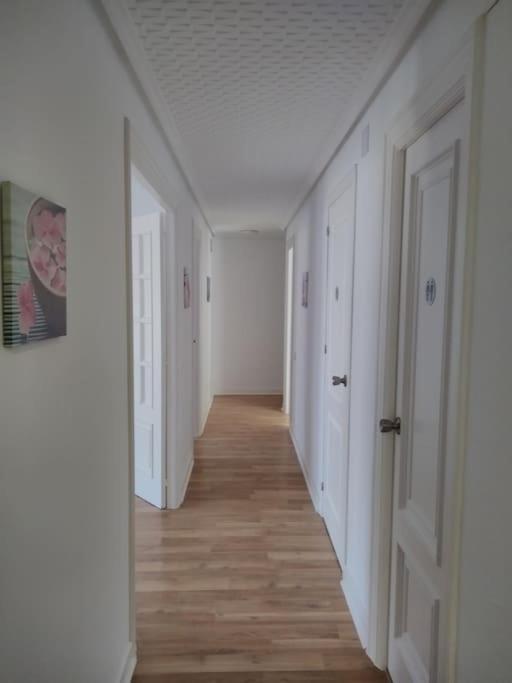 Appartement Ven Y Desconecta!! à Viana  Extérieur photo